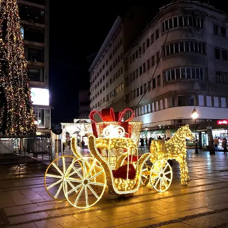 Central Apartment Belgrade 아파트